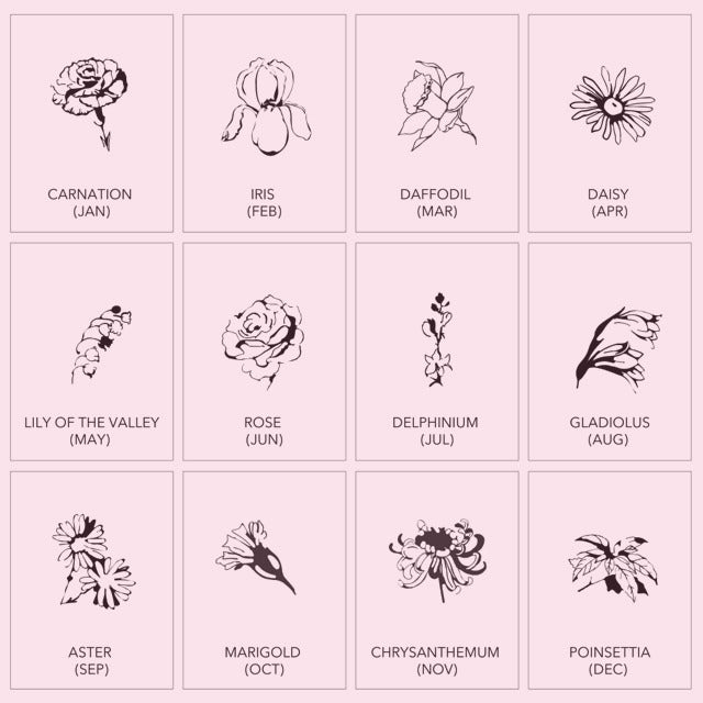 Chrysanthemum Birth Month Flower SVG files November Birthday - Inspire  Uplift